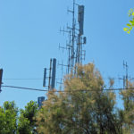 ancona16