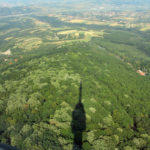 avala8
