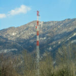 avasinsis1