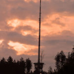 bern3