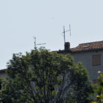 buzet1