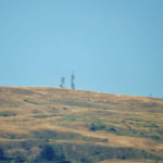 carpegna2