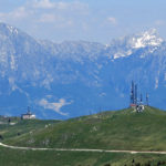 coltoront1