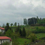 collio1