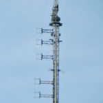 collserola7