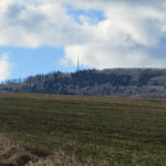 doubrava1