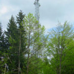 hermagor1