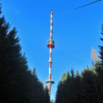 hoegl2
