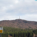 hoherbogen1