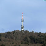 hoherbogen2