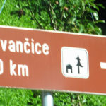 ivanscicau
