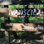 ivanscicau2