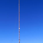kojal6