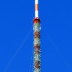 kojal7