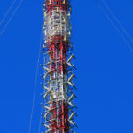 kojal8