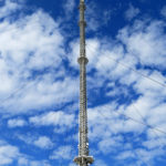 lillebovi3