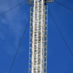 lillebovi6