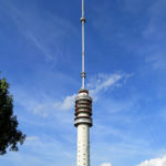 lopik25