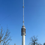 lopik8