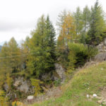lussari17