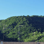 maniagom1