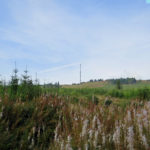 marghera1