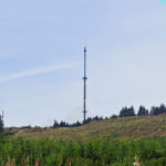 marghera3