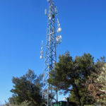 markovec1