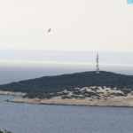 martinscica1