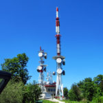 mirkovica2