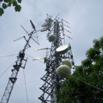 monfalconea3