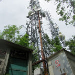 monfalconea4