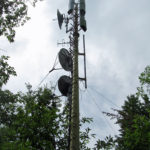 monfalconea7