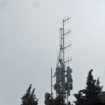montemorello10