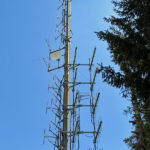 montepenice8