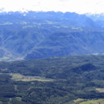 montiggl3