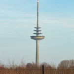 muenster1