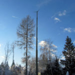 oswaldiberg2