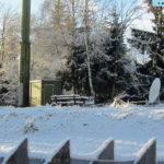 oswaldiberg5