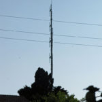 pesaro3