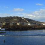 petrin1