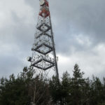 plzenkosutka4
