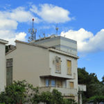 pulavidikovac1