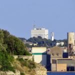pulavidikovac2