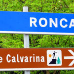 RoncaCiclaminoU