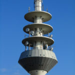 rosengarten6