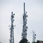 savona6