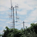 savona8