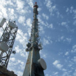srd5