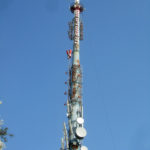srd6
